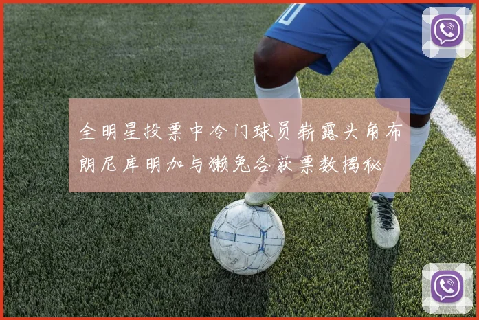 全明星投票中冷门球员崭露头角布朗尼库明加与獭兔各获票数揭秘