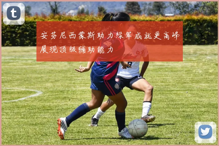 安芬尼西蒙斯助力绿军成就更高峰展现顶级辅助能力