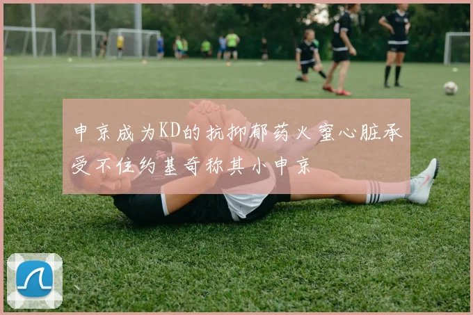 申京成为KD的抗抑郁药火蜜心脏承受不住约基奇称其小申京