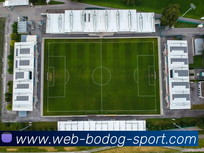 多媒体互动体验