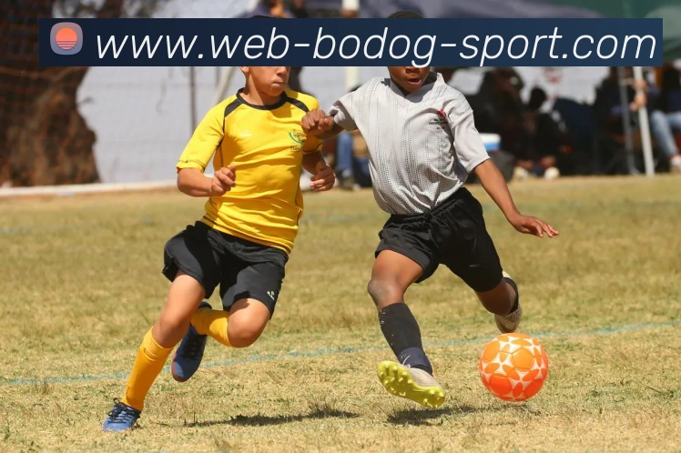 博狗娱乐APP 高清赛事图